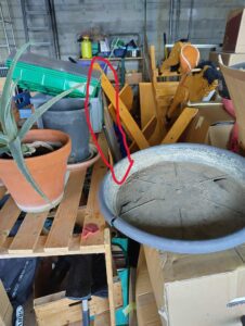 Ein überfüllter Lagerraum voller verschiedener Gegenstände, darunter eine Aloe-Pflanze im Topf auf einer Holzpalette, ein großes rundes Tablett, Kartons von einem Umzug aus Zürich und eine Auswahl an Werkzeugen und Geräten. In der Mitte hebt eine rote Umrandung ein ununterscheidbares Objekt im Hintergrund hervor.